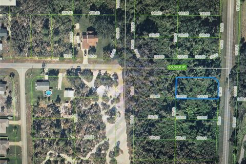 Land in Lake Placid, Florida № 2273034 - photo 3
