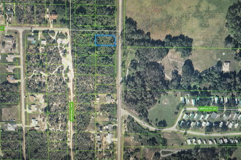 Land in Lake Placid, Florida № 2273034 - photo 6