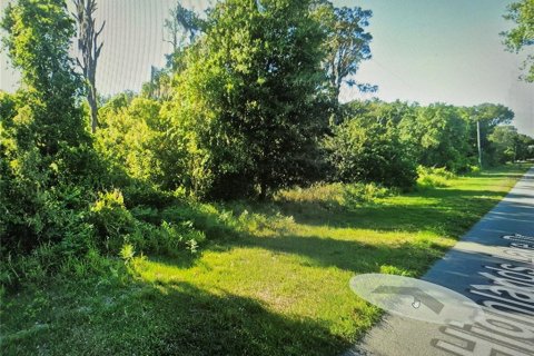 Land in Lake Placid, Florida № 2273034 - photo 2