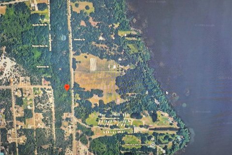 Land in Lake Placid, Florida № 2273034 - photo 5
