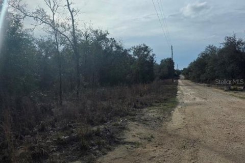 Terreno en venta en Williston, Florida № 2228769 - foto 3