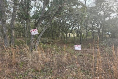 Terreno en venta en Williston, Florida № 2228769 - foto 2