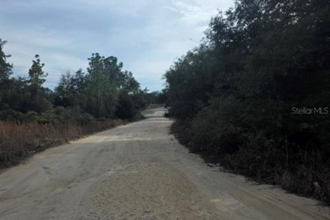Terreno en venta en Williston, Florida № 2228769 - foto 4