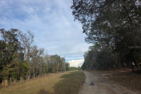 Terrain à Williston, Floride № 2228769