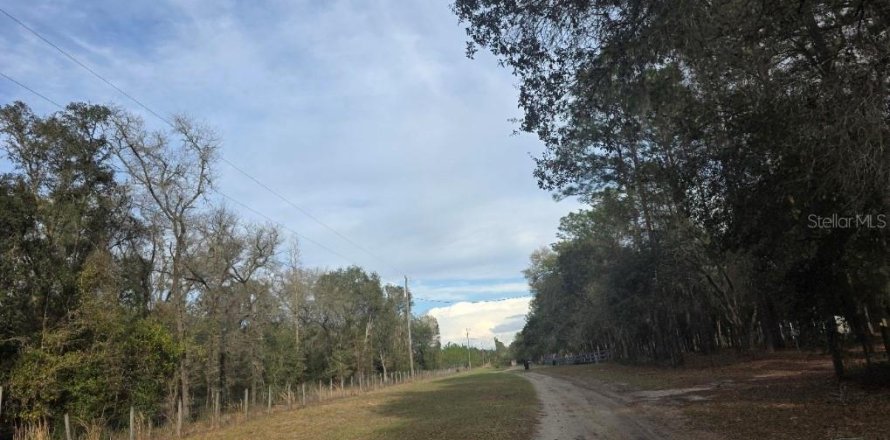 Terreno en Williston, Florida № 2228769