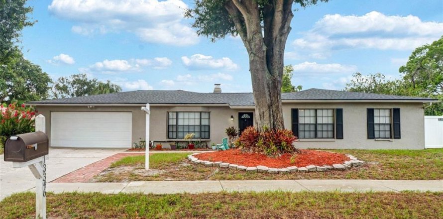 House in Tampa, Florida 3 bedrooms, 157.1 sq.m. № 2152005