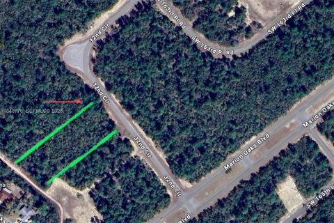 Commercial property in Ocala, Florida № 2088882 - photo 4