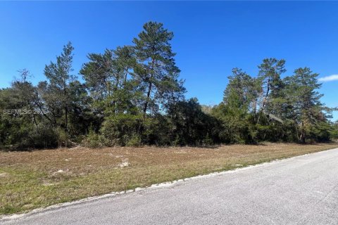 Commercial property in Ocala, Florida № 2088882