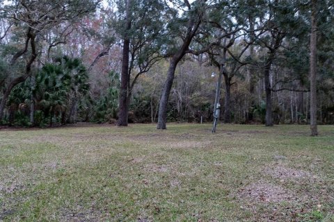Terrain à vendre à Satsuma, Floride № 2123666 - photo 8