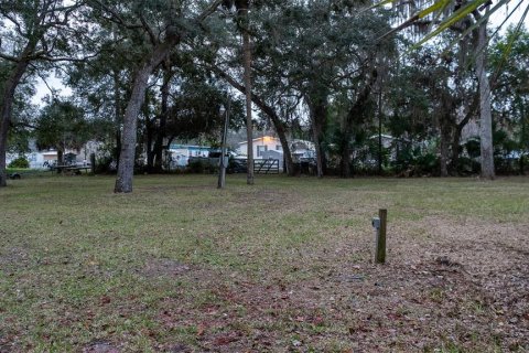 Terrain à vendre à Satsuma, Floride № 2123666 - photo 6