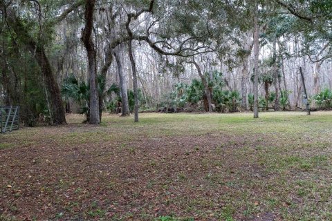 Terrain à vendre à Satsuma, Floride № 2123666 - photo 2