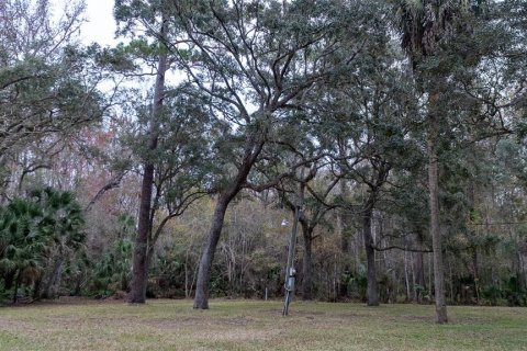 Terrain à vendre à Satsuma, Floride № 2123666 - photo 7
