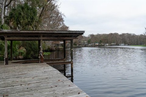 Terrain à Satsuma, Floride № 2123666