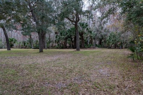 Terrain à vendre à Satsuma, Floride № 2123666 - photo 4