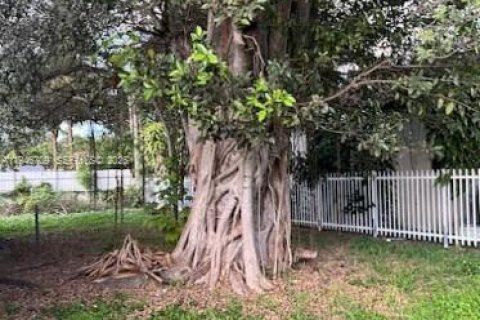 Купить виллу или дом в Майами, Флорида 3 спальни, 124.3м2, № 2007502 - фото 12