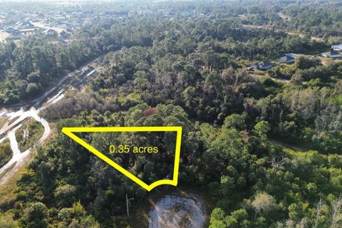 Land in Lehigh Acres, Florida № 2202964