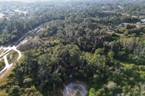 Terreno en venta en Lehigh Acres, Florida № 2202964 - foto 2