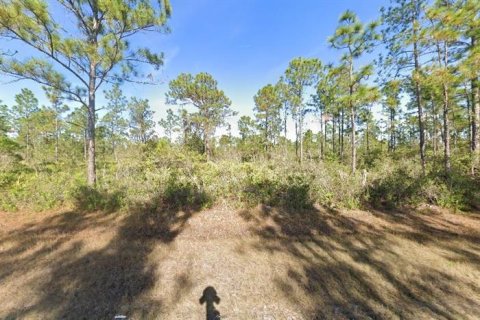 Land in Indian lake estates, Florida № 2204580 - photo 2