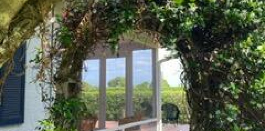 Immobilier commercial à Wellington, Floride 1 chambre, 232.26 m2 № 1189613