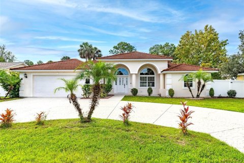 House in Palm Coast, Florida 4 bedrooms, 226.4 sq.m. № 1913602 - photo 1