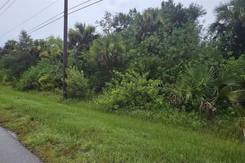 Terreno en venta en Naples, Florida № 1778931 - foto 1