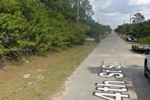 Land in Lehigh Acres, Florida № 2158598 - photo 3