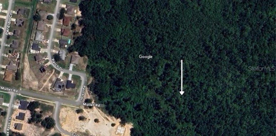 Land in Kissimmee, Florida № 1532647