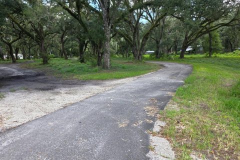 Casa en venta en Webster, Florida, 5 dormitorios, 241.55 m2 № 2354370 - foto 2
