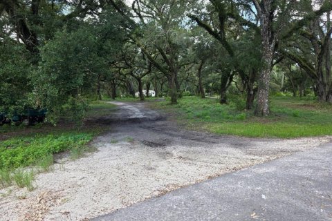 Casa en venta en Webster, Florida, 5 dormitorios, 241.55 m2 № 2354370 - foto 4