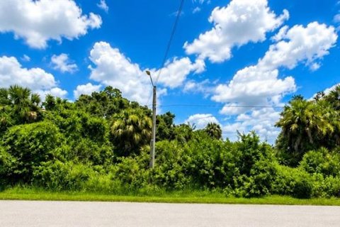 Land in North Port, Florida № 2197584