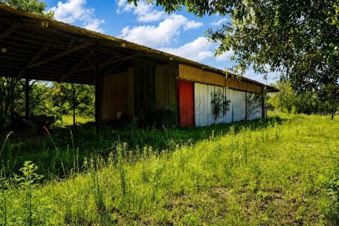 Купить коммерческую недвижимость в Старк, Флорида 492.01м2, № 2344795 - фото 9