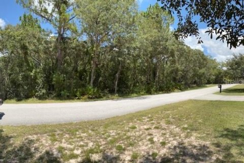 Land in Homosassa, Florida № 1876699 - photo 2