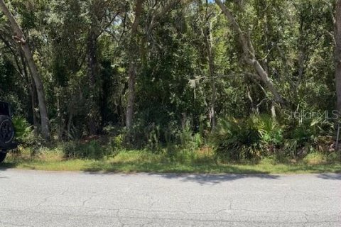 Land in Homosassa, Florida № 1876699 - photo 1