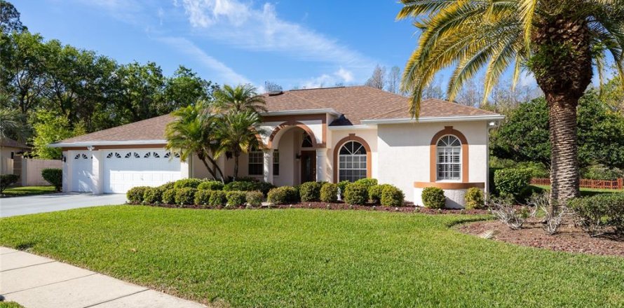 Casa en Land O' Lakes, Florida 4 dormitorios, 242.29 m2 № 1608668