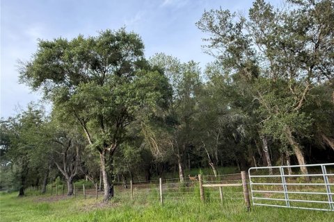 Land in Arcadia, Florida № 2218393