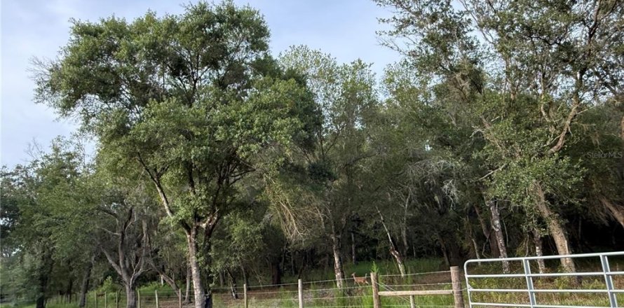 Terrain à Arcadia, Floride № 2218393