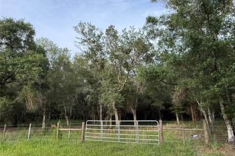 Terrain à vendre à Arcadia, Floride № 2218393 - photo 4