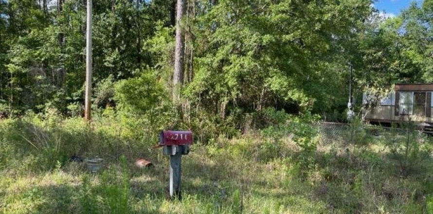 Land in Middleburg, Florida № 802312