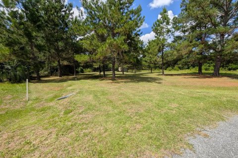 Land in Lake Butler, Florida № 1829428 - photo 10