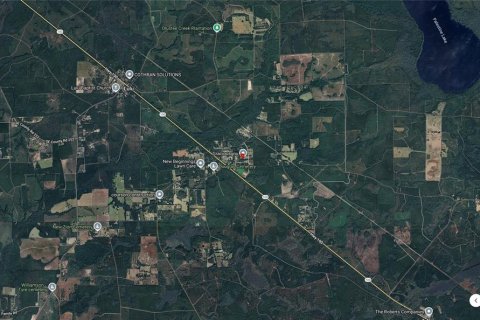 Land in Lake Butler, Florida № 1829428 - photo 5