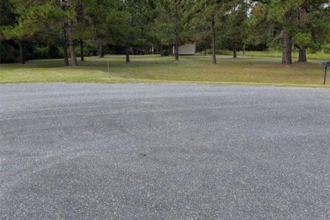 Land in Lake Butler, Florida № 1829428 - photo 9