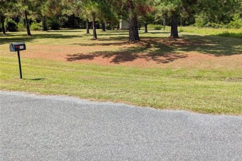 Land in Lake Butler, Florida № 1829428 - photo 13