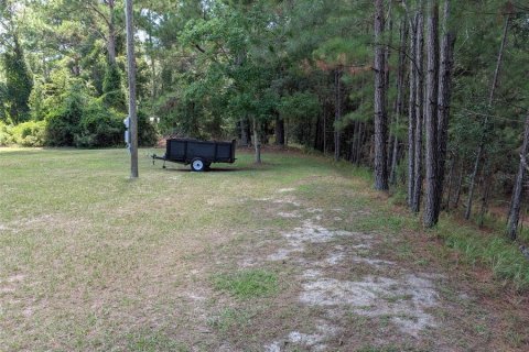 Land in Lake Butler, Florida № 1829428 - photo 16