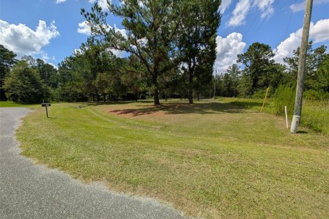 Land in Lake Butler, Florida № 1829428 - photo 17