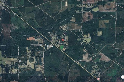 Land in Lake Butler, Florida № 1829428 - photo 4