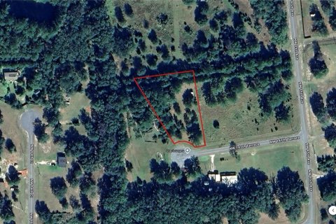 Land in Lake Butler, Florida № 1829428 - photo 2