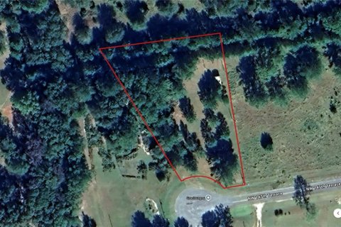 Land in Lake Butler, Florida № 1829428 - photo 1
