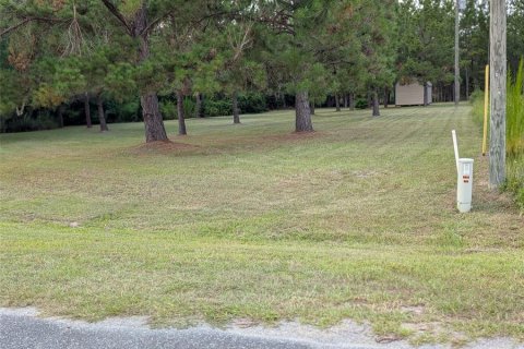 Land in Lake Butler, Florida № 1829428 - photo 8
