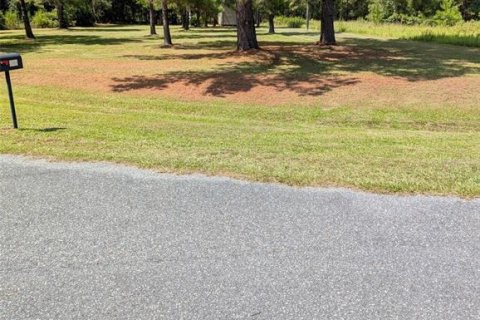 Land in Lake Butler, Florida № 1829428 - photo 14