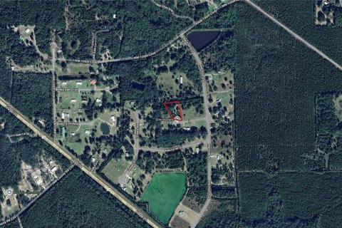 Land in Lake Butler, Florida № 1829428 - photo 3